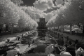 Lange See IR