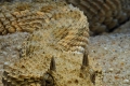 Sandviper I