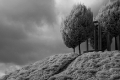Der Weg