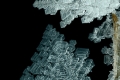 Eisblume