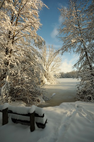 Winter am See