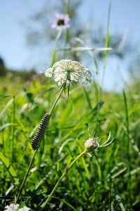 Umgebung